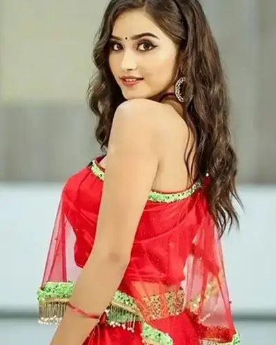 Call Girls Service Krishnarayapuram
